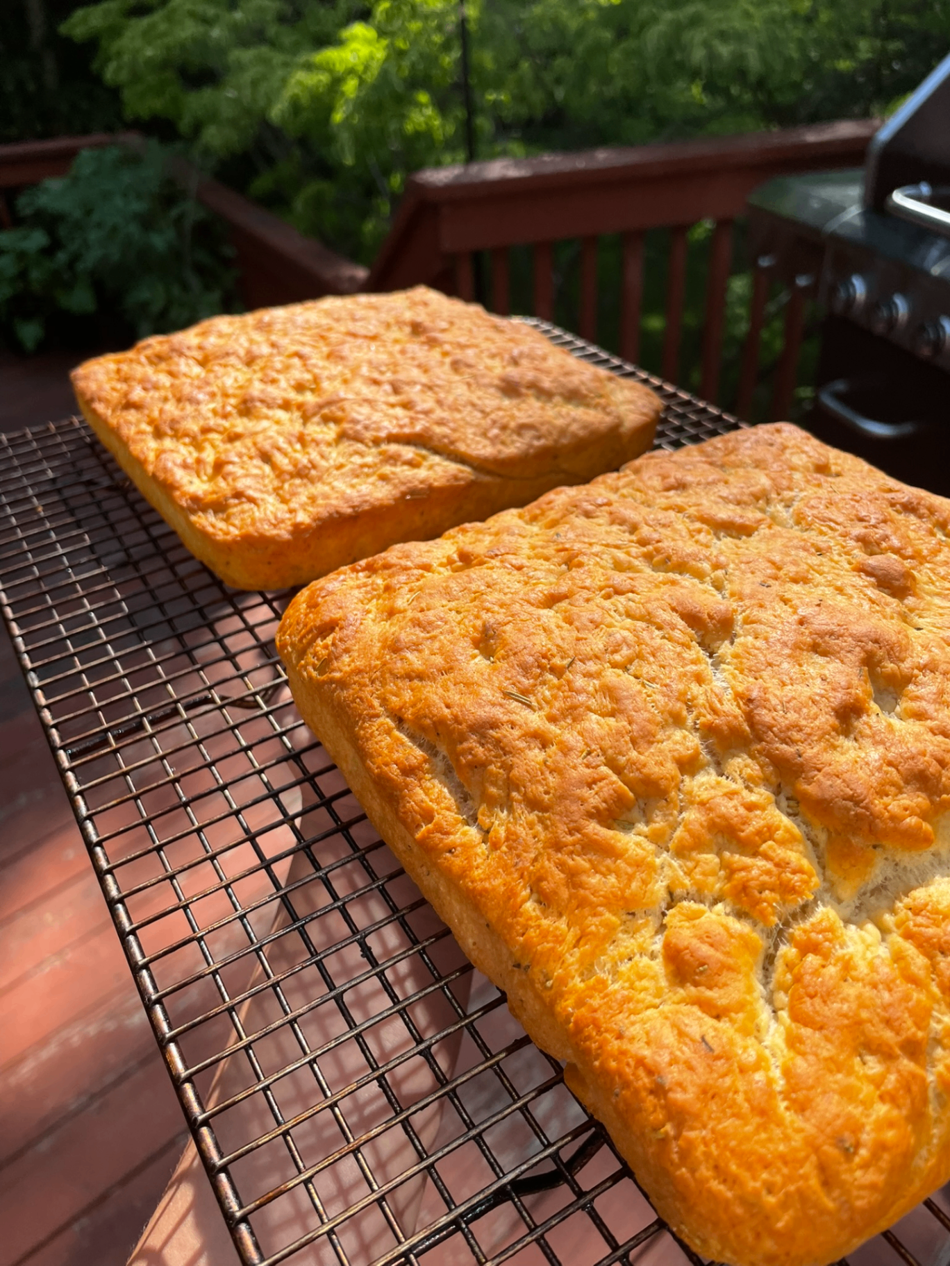 Focaccia Take 1