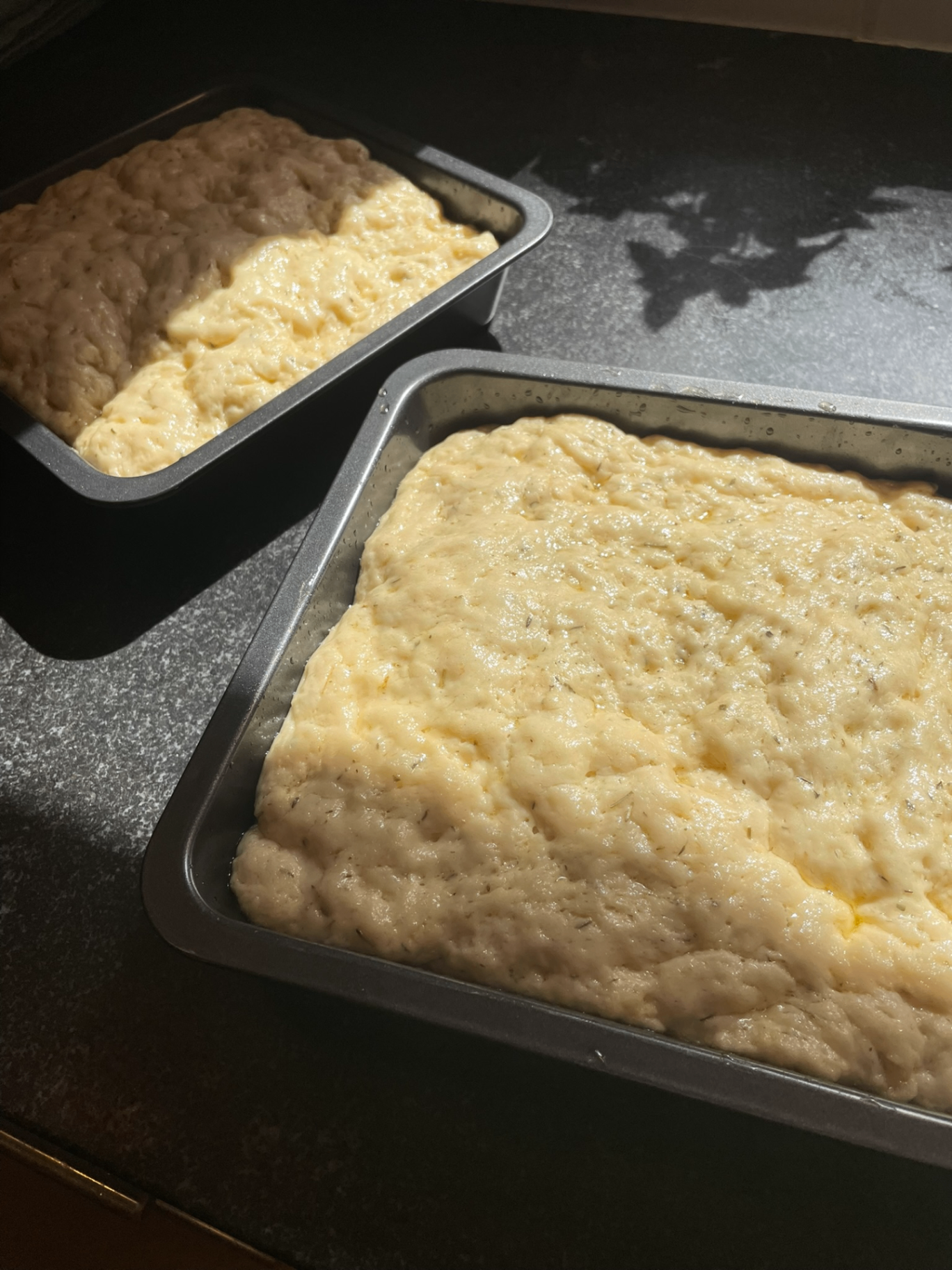 Focaccia Take 1 detail 4