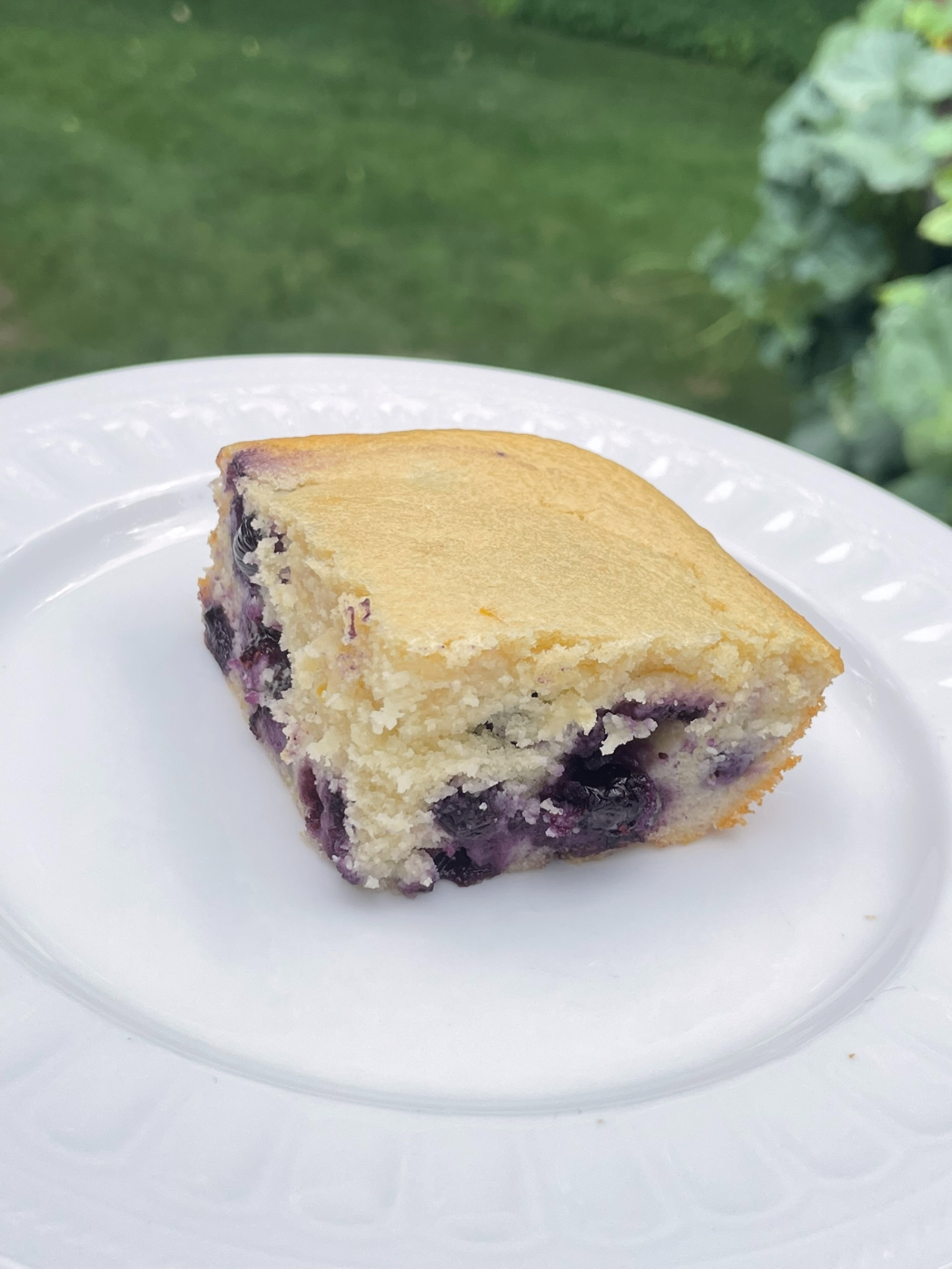 High Protein Lemon Blueberry Cake detail 4